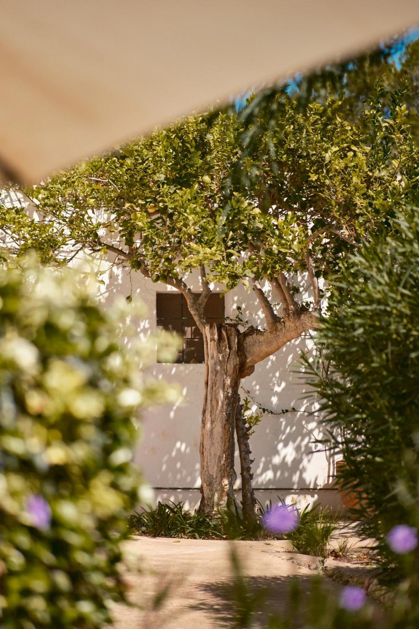 The Guardian House 호텔 Santa Gertrudis  외부 사진