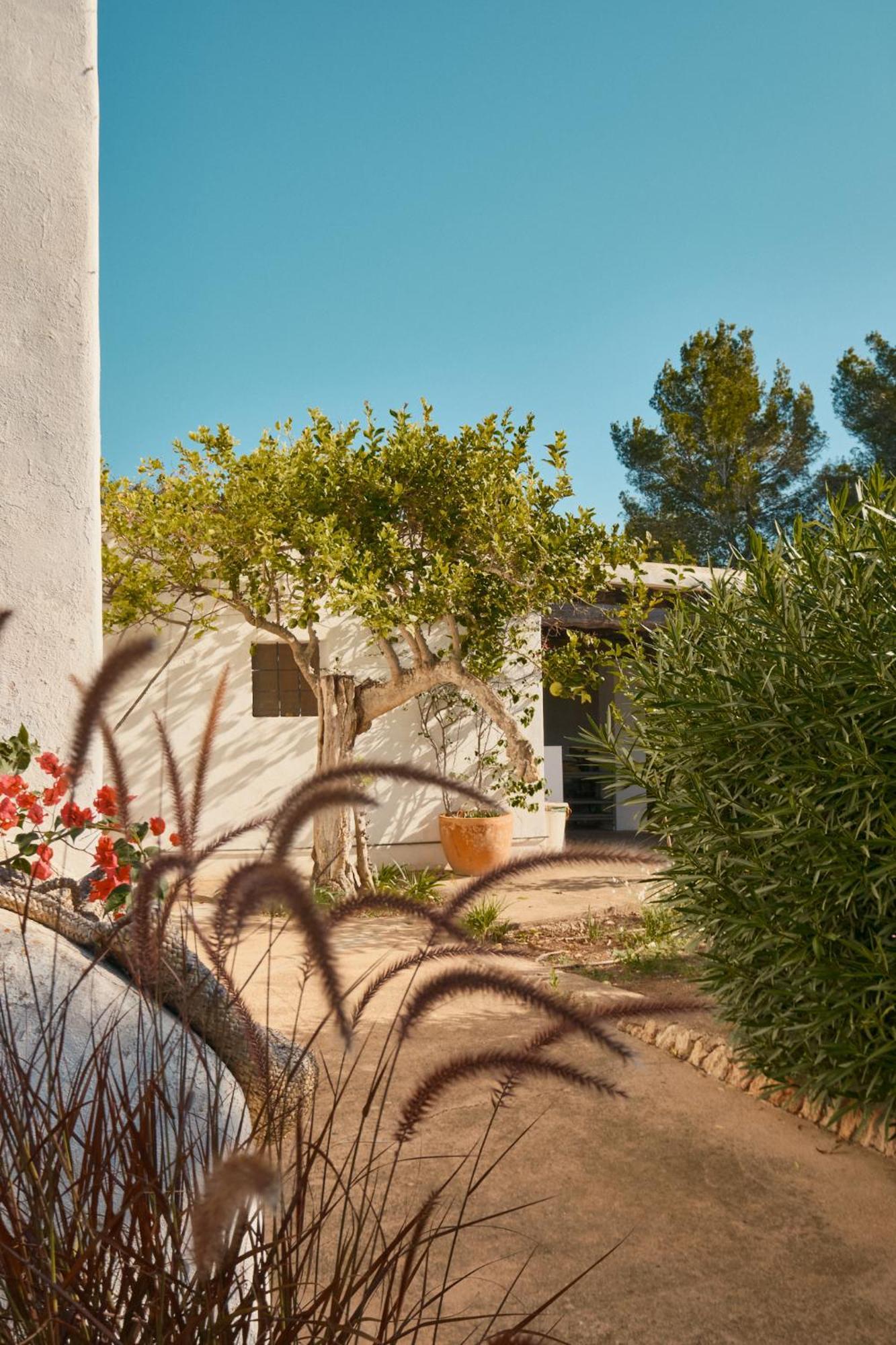 The Guardian House 호텔 Santa Gertrudis  외부 사진